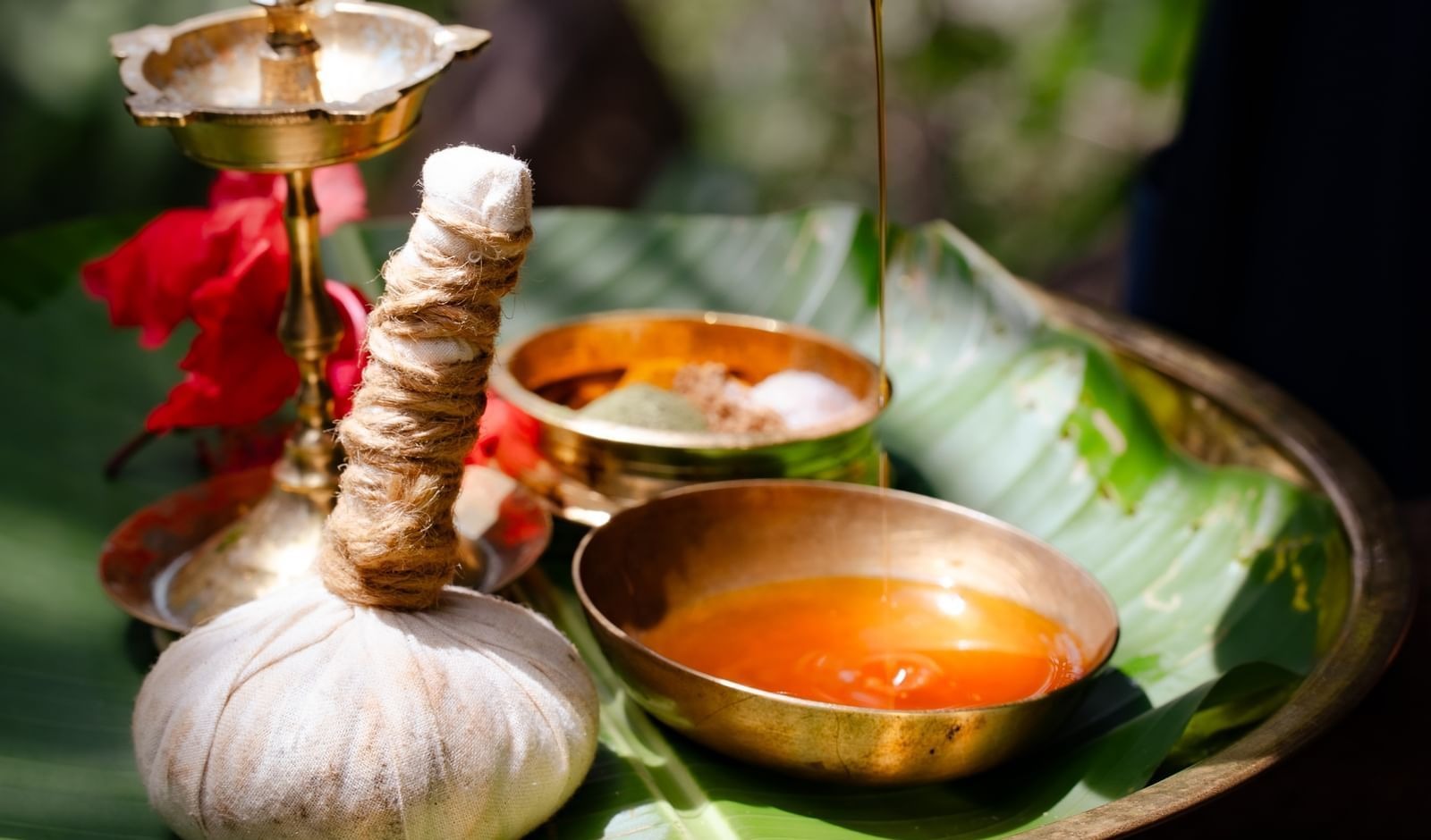 Reconnecting with Nature: How Ayurveda Restores Balance in Modern Life